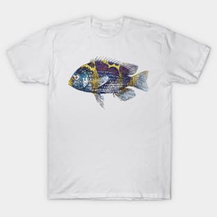 Fish T-Shirt